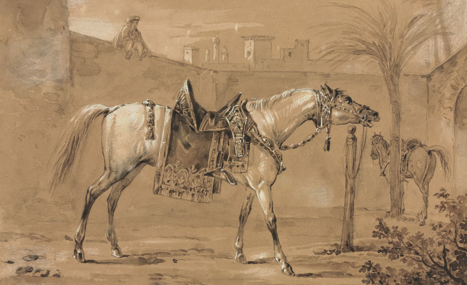 Arabian — Arabian horse portrait