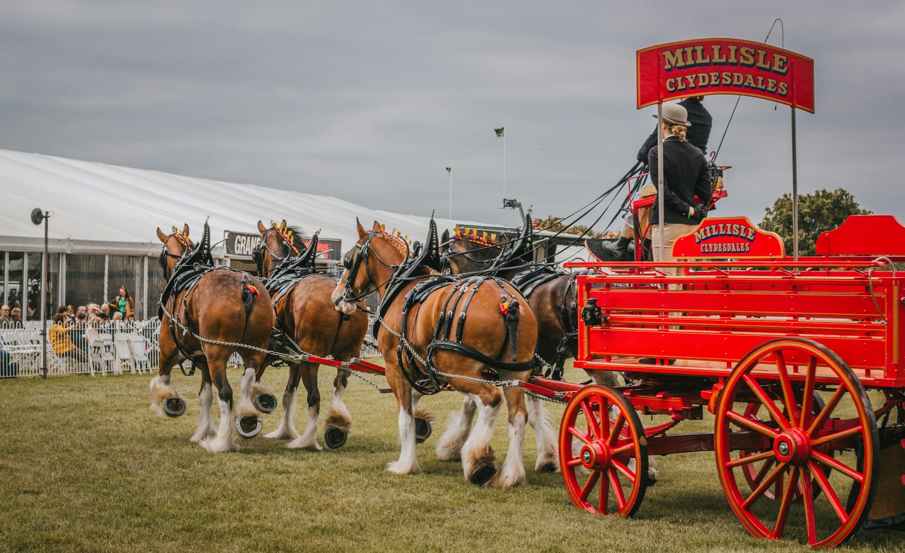 Clydesdale — banner